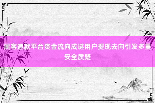 黑客追款平台资金流向成谜用户提现去向引发多重安全质疑